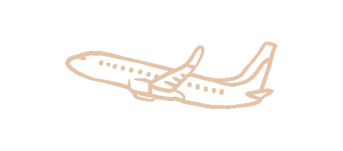 Airport Transfers