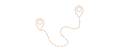 Daily Tours